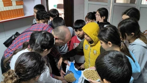 Sokak sokak gezip, sokak hayvanlarını besliyorlar
