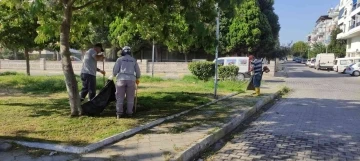 Söke Belediyesi Park İşleri Ekipleri çalışmalarında hız kesmiyor
