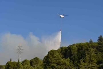 Söke’de orman yangını
