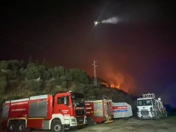 Söke’deki orman yangınında alevler geceyi aydınlattı
