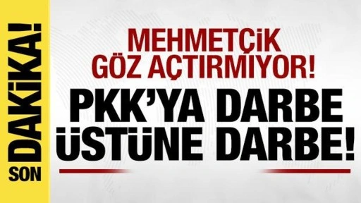 Son dakika: 8 PKK'lı terörist etkisiz hale getirildi!