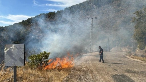 Son dakika: Antalya'da orman yangını!