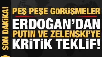 Son dakika: Erdoğan'da peş peşe görüşmeler! Zelenski ve Putin'e kritik teklif...