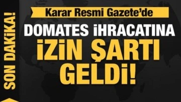 SON DAKİKA...Domates ihracatı izne bağlandı