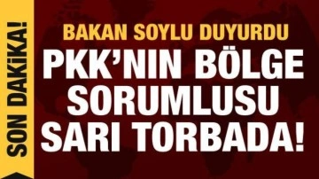 Soylu duyurdu: Biri bölge sorumlusu üç terörist etkisiz!