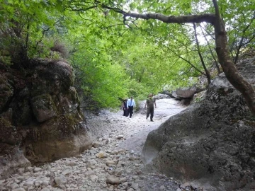 Spil Dağı Milli Parkını yakından tanıdılar
