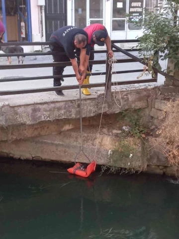 Sulama kanalına düşen yavru kedi kurtarıldı
