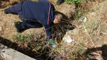 Sultanbeyli’de sokağa dökülen maddeden yayılan koku paniğe neden oldu
