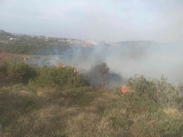 Sultangazi’de çalılık alanda korkutan yangın
