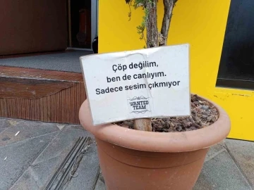 Sürekli dibine çöp atılan saksıda ilginç mesaj
