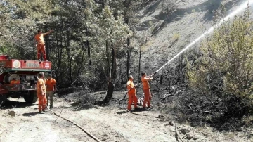 Taraklı’da çıkan orman yangınında soğutma çalışması sürüyor
