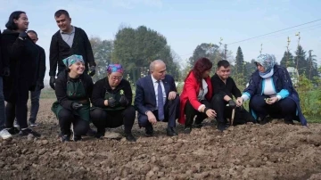 Tarım akademisinde hasat zamanı
