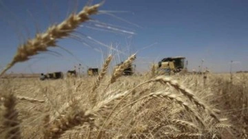 Tarım sektörü ihracatta ocak-şubat rekoru kırdı