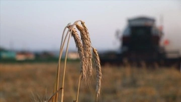 Tarımsal destek ödemesi bugün çiftçilerin hesabına aktarılacak