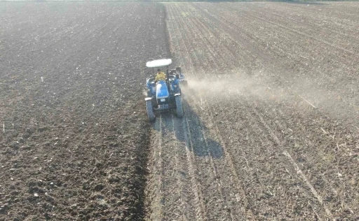 Tarlada çalışacak işçi bulamayınca 3 bin 500 kilometre yol kat edip babasına yardıma geliyor
