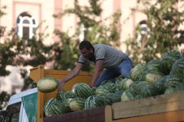 Tarlada kalan karpuz, Bursalılara ücretsiz dağıtıldı
