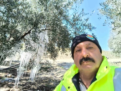 Tarsus’ta ağaçlarda buz sarkıtları oluştu
