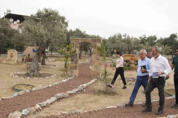 Tarsus’ta ’Zeytin Gen Koruma Alanı’ açılıyor
