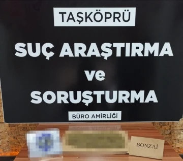 Taşköprü’de polisten silah ve uyuşturucu operasyonu
