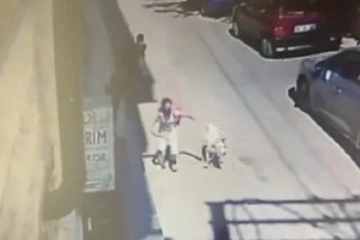 Tasmasız köpek çocuğa ve kadına böyle saldırdı