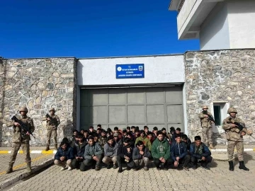 Tatvan’da 50 düzensiz göçmen yakalandı
