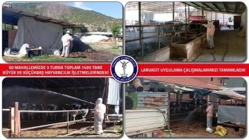 Tavas Belediyesi 7 bin hayvan işletmesinde larvasit ilaçlaması yaptı
