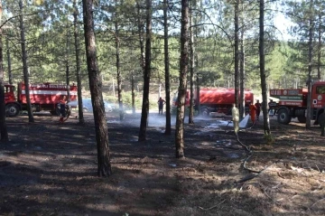 Tavşanlı’da orman yangını söndürüldü
