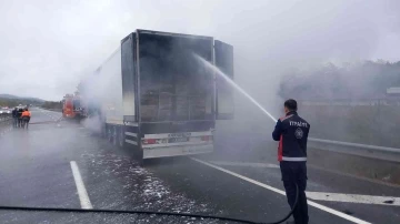 Tavuk yüklü tır alev alev yandı
