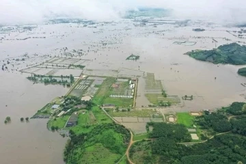 Tayland’da sel ve toprak kayması: 22 ölü, 19 yaralı
