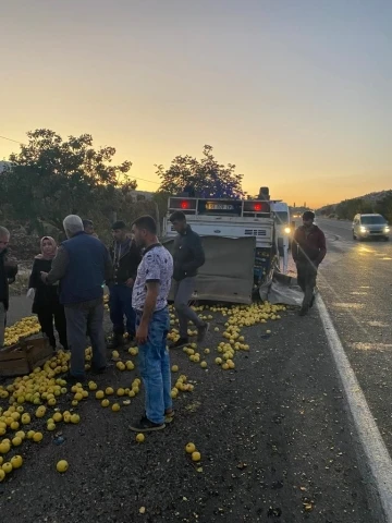 Tekeri patlayan elma yüklü kamyonet devrildi
