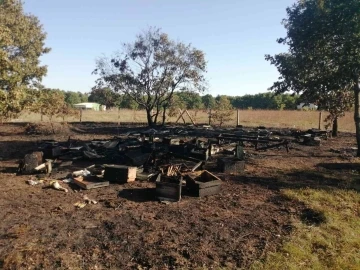 Tekirdağ’da 110 kovanlık arıcılık tesisi kül oldu
