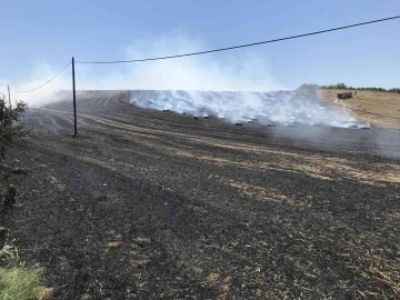 Tekirdağ’da 40 dekar tarla yandı
