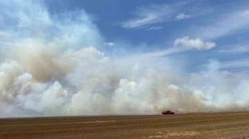 Tekirdağ’da 500 dönüm anız alev alev yandı
