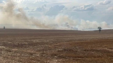 Tekirdağ’da anız yangını
