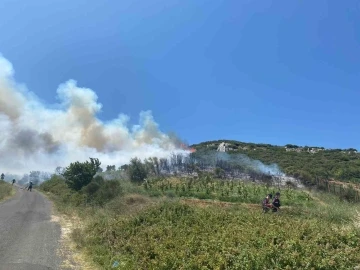 Tekirdağ’da çıkan orman yangını kontrol altına alındı
