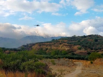 Tekirdağ’da orman yangını korkuttu
