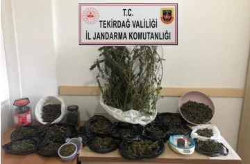 Tekirdağ’ın 5 ilçesinde uyuşturucu operasyonu
