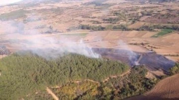 Tekirdağ'da çıkan orman yangını söndürüldü