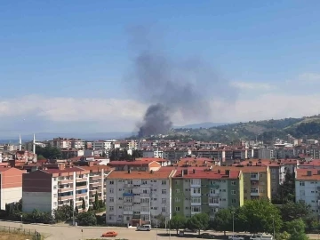 Tekkeköy’deki yangın korkuttu
