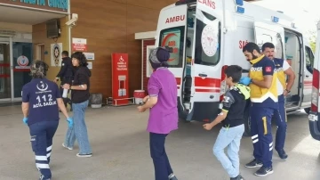 Teneffüsteki 15 öğrenciyi arılar soktu, okula 1 gün ara verildi
