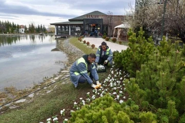 Tepebaşı çiçekler ile güzelleşiyor
