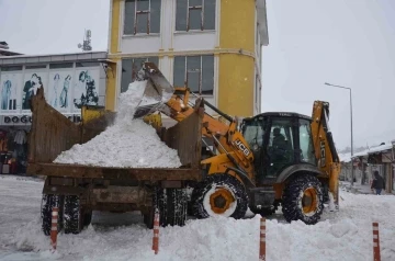 Tercan’da kar temizliği
