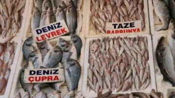 Tezgahlar balıkla doldu taştı, fiyatlar yarı yarıya düştü