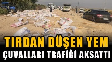 Tırdan düşen yem çuvalları trafiği aksattı