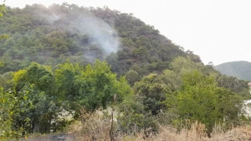 Tokat’ta ormanlık alanda yangın
