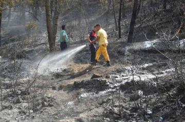 Tokat’taki orman yangınında 5 dönümlük alan zarar gördü
