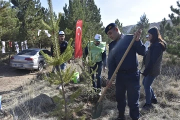 Tomarza’da fidanlar toprakla buluştu
