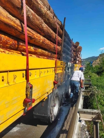 Tomruk yüklü tırda çıkan yangın büyümeden söndürüldü
