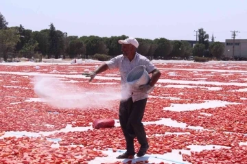 Torbalı’nın &quot;kırmızı altınları&quot; serildi
