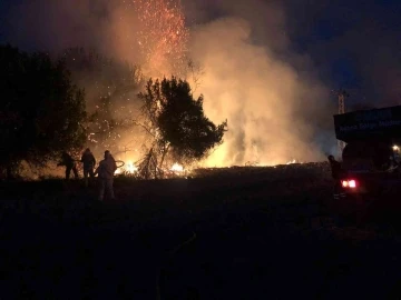 Trafodan ormanlık alana sıçrayan yangın büyümeden söndürüldü
